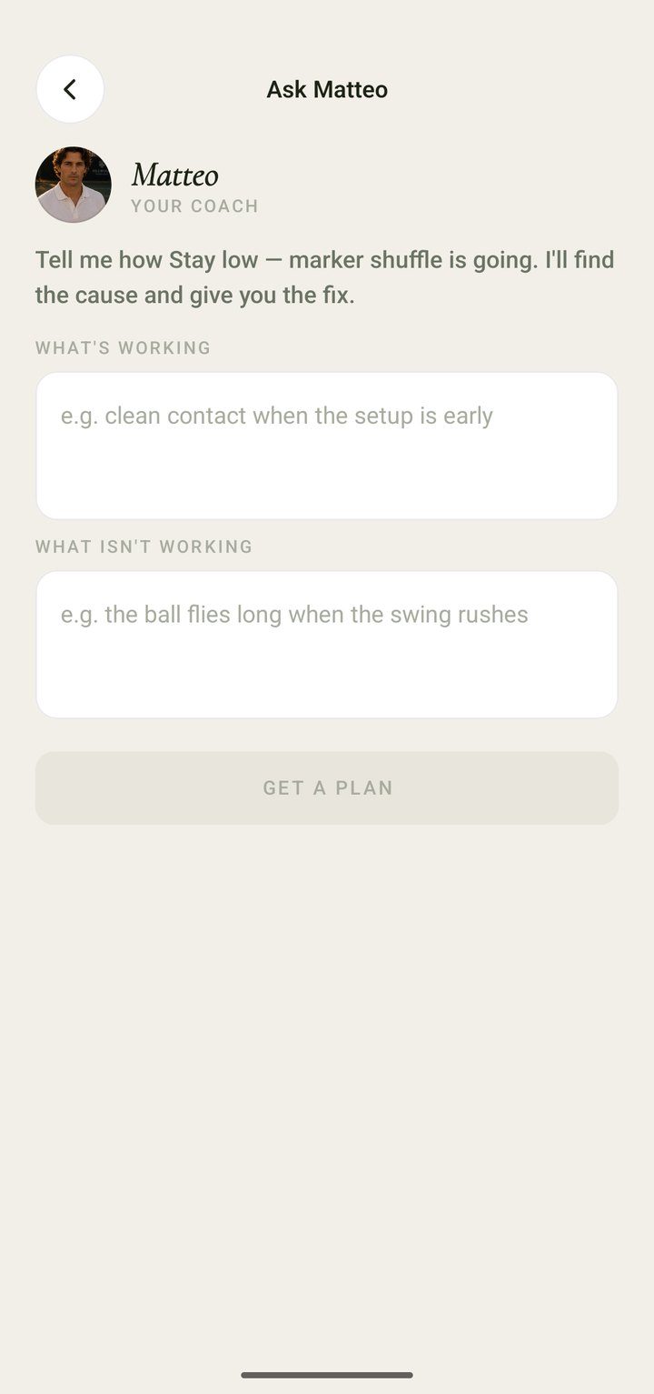 Ask Matteo screen: fields for what’s working and what isn’t